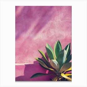 Pink Wall Canvas Print