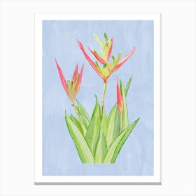 Vibrant pink and green Heliconia Tropical Flowers and leaves in Watercolor faded On blue Canvas Print