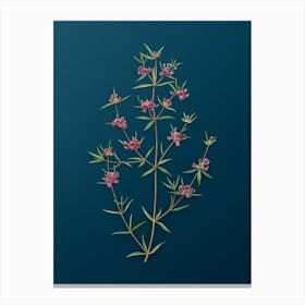 Vintage Heath Mirbelia Branch Botanical Art on Teal Blue n.0467 Canvas Print