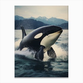 Realistic Orca Whale Icy Mountain Photography Style 5 Canvas Print