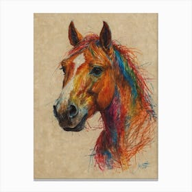 Colorful Horse 2 Canvas Print