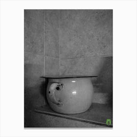 Pot On A Sink 20210502 114ppub Canvas Print