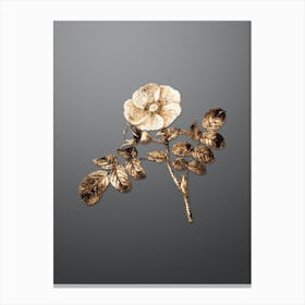 Gold Botanical Japanese Rose on Soft Gray n.1031 Canvas Print