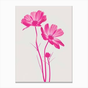 Hot Pink Oxeye Daisy 1 Canvas Print