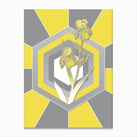 Vintage Elder Scented Iris Botanical Geometric Art in Yellow and Gray n.441 Canvas Print