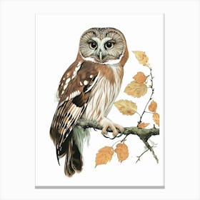 Northern Saw Whet Owl Vintage Illustration 3 Canvas Print
