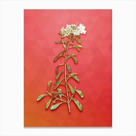 Vintage Small White Flowers Botanical Art on Fiery Red n.1128 Canvas Print