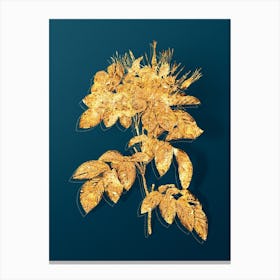 Vintage Pasture Rose Botanical in Gold on Teal Blue n.0207 Canvas Print