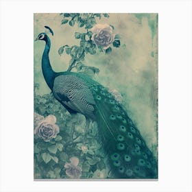 Turquoise Peacock With Roses Cyanotype Inspired  3 Canvas Print