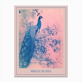 Pink & Blye Peacock In A Tree Cyanotype Inspired 1 Poster Canvas Print