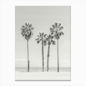 Three Palm Trees On The Beach 4 Canvas Print