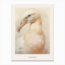 Vintage Bird Drawing Albatross 3 Poster Canvas Print