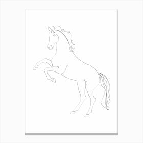 Horse Line II Canvas Print