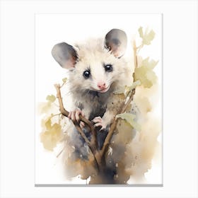 Light Watercolor Painting Of A Nocturnal Possum 1 Canvas Print