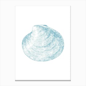 Clam Shell Canvas Print