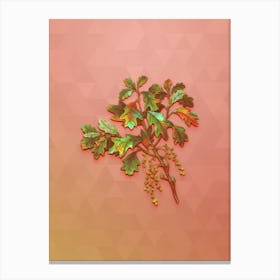 Vintage Bear Oak Botanical Art on Peach Pink n.1446 Canvas Print