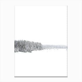 White White Winter Canvas Print