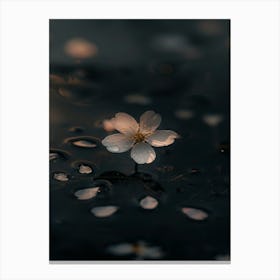 Flower In Water 1 Canvas Print