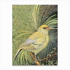 Mockingbird Haeckel Style Vintage Illustration Bird Canvas Print
