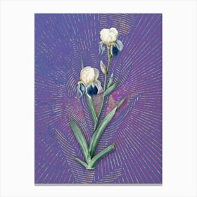 Vintage Elder Scented Iris Botanical Illustration on Veri Peri Canvas Print