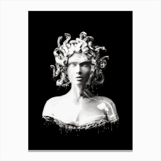 Silver Medusa Canvas Print