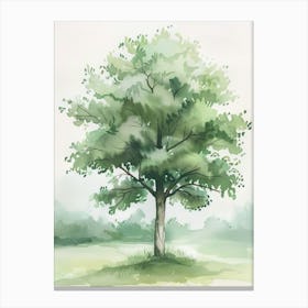 Beech Tree Atmospheric Watercolour Painting 1 Canvas Print