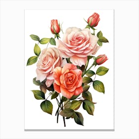 Roses On A White Background Canvas Print