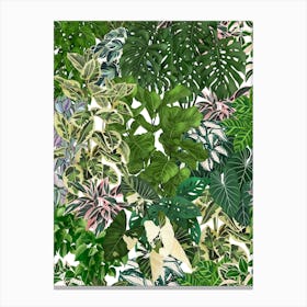 House Plants Jungle 2 Canvas Print