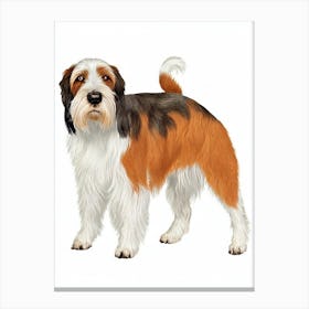 Pointer (German Wirehaired) Illustration dog Canvas Print