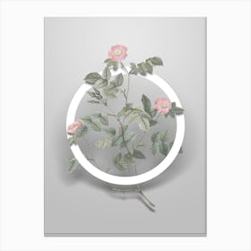 Vintage Sweetbriar Rose Minimalist Flower Geometric Circle on Soft Gray n.0238 Canvas Print