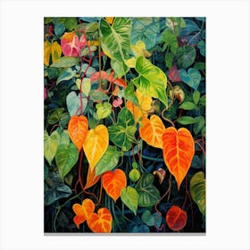 Tropical Plant Painting Devils Ivy  2 Canvas Print