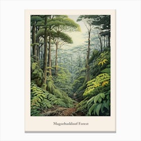 Magoebaskloof Forest 2 Canvas Print