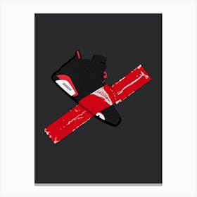 Air Jordan 5 Canvas Print