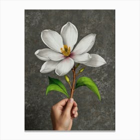 Magnolia Flower 1 Canvas Print