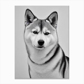 Shiba Inu B&W Pencil dog Canvas Print