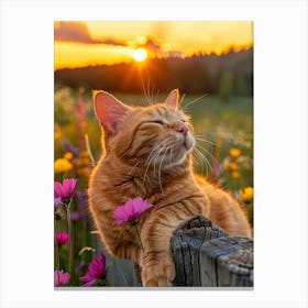 Sunset Cat 2 Canvas Print