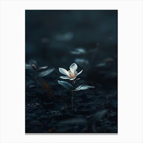 Flower In The Dark 33 Canvas Print