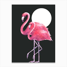 Pink Flamingos Canvas Print