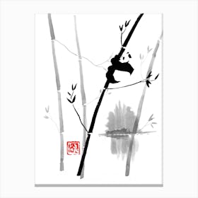 Panda In His Tree 2 Canvas Print