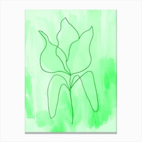 Tulip Spring Green Canvas Print