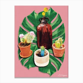 Cactus Canvas Print