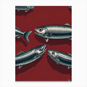 Sockeye Salmon 1 Canvas Print