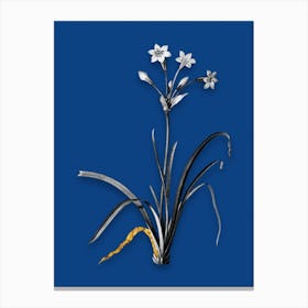 Vintage Crytanthus Vittatus Black and White Gold Leaf Floral Art on Midnight Blue n.0114 Canvas Print