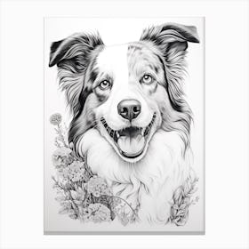 Border Collie Dog, Line Drawing 4 Canvas Print