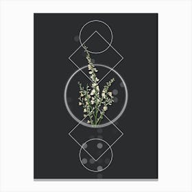 Vintage White Broom Botanical with Geometric Line Motif and Dot Pattern n.0408 Canvas Print