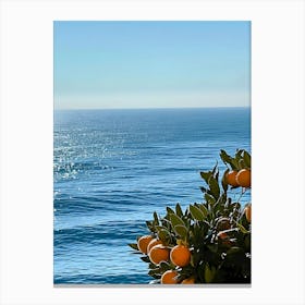 Oranges On The Beach Canvas Print