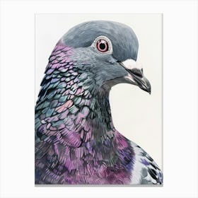 Pigeon 4 Canvas Print