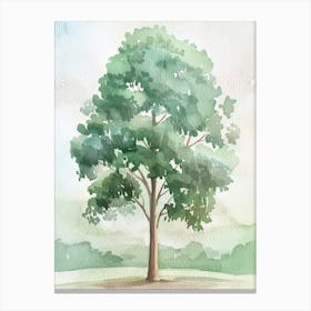 Eucalyptus Tree Atmospheric Watercolour Painting 3 Canvas Print