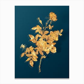 Vintage Alpine Rose Botanical in Gold on Teal Blue n.0203 Canvas Print