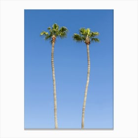 Idyllic Palm Trees Canvas Print